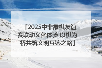 2025中非象棋友谊赛联动文化体验 以棋为桥共筑文明互鉴之路