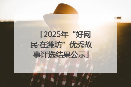 2025年“好网民·在潍坊”优秀故事评选结果公示