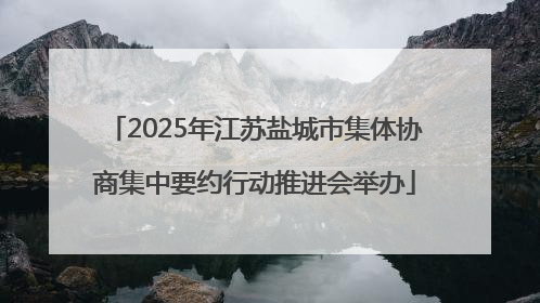 2025年江苏盐城市集体协商集中要约行动推进会举办