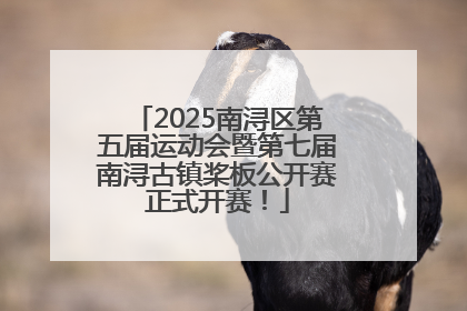 2025南浔区第五届运动会暨第七届南浔古镇桨板公开赛正式开赛！