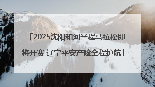 2025沈阳和河半程马拉松即将开赛 辽宁平安产险全程护航