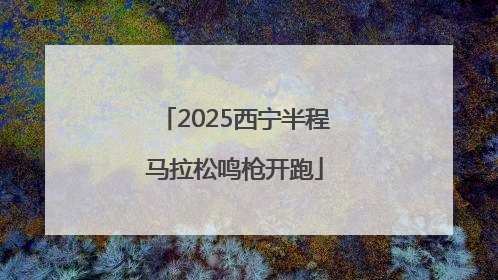2025西宁半程马拉松鸣枪开跑