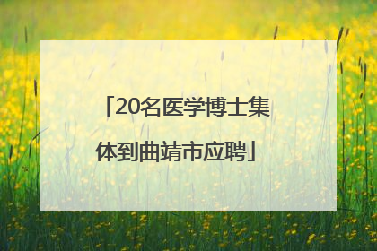 20名医学博士集体到曲靖市应聘