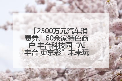 2500万元汽车消费券、60余家特色商户 丰台科技园“AI丰台 更京彩”未来玩家市集活动正式开幕