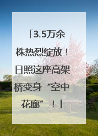 3.5万余株热烈绽放！日照这座高架桥变身“空中花廊”！