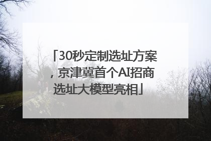 30秒定制选址方案，京津冀首个AI招商选址大模型亮相