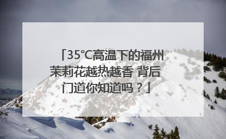 35℃高温下的福州茉莉花越热越香 背后门道你知道吗？