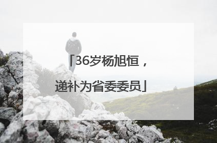 36岁杨旭恒，递补为省委委员