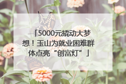 5000元撬动大梦想！玉山为就业困难群体点亮“创富灯”