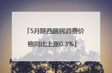 5月陕西居民消费价格同比上涨0.3%