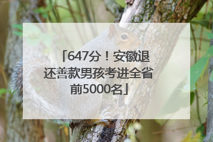 647分！安徽退还善款男孩考进全省前5000名