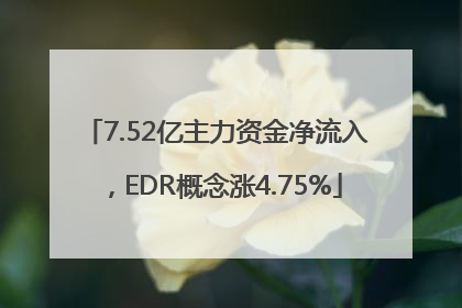 7.52亿主力资金净流入，EDR概念涨4.75%