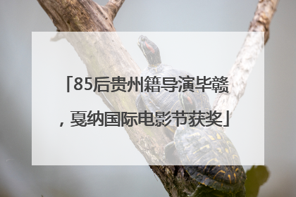 85后贵州籍导演毕赣，戛纳国际电影节获奖