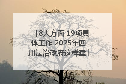 8大方面 19项具体工作 2025年四川法治政府这样建