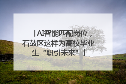 AI智能匹配岗位，石鼓区这样为高校毕业生“职引未来”