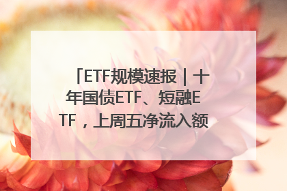 ETF规模速报｜十年国债ETF、短融ETF，上周五净流入额均超20亿元