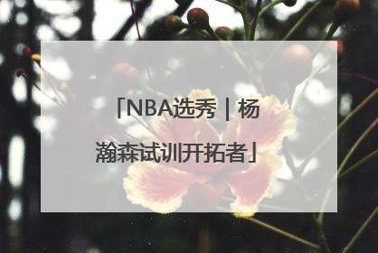 NBA选秀｜杨瀚森试训开拓者