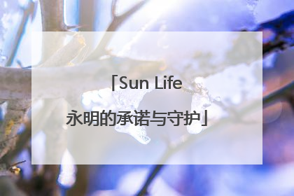 Sun Life永明的承诺与守护