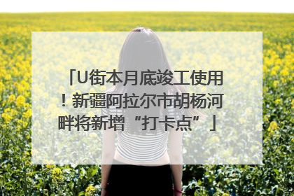 U街本月底竣工使用！新疆阿拉尔市胡杨河畔将新增“打卡点”