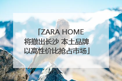 ZARA HOME将撤出长沙 本土品牌以高性价比抢占市场